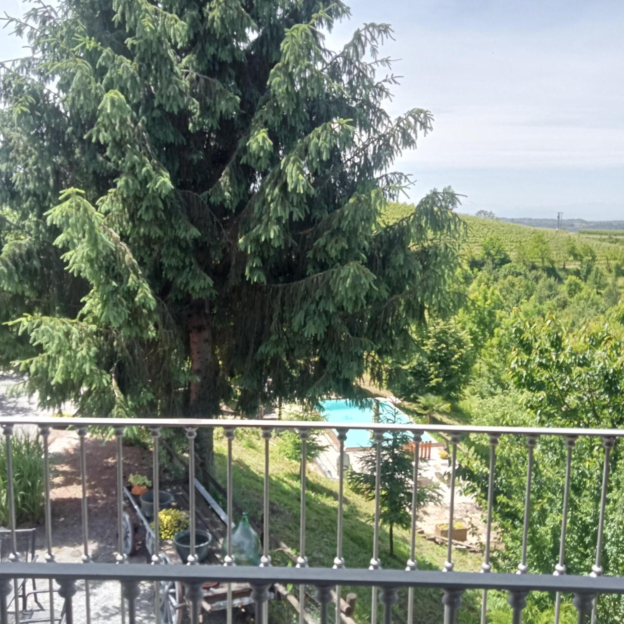 Agriturismo Bric Di Gai Монфорте-д'Альба Экстерьер фото